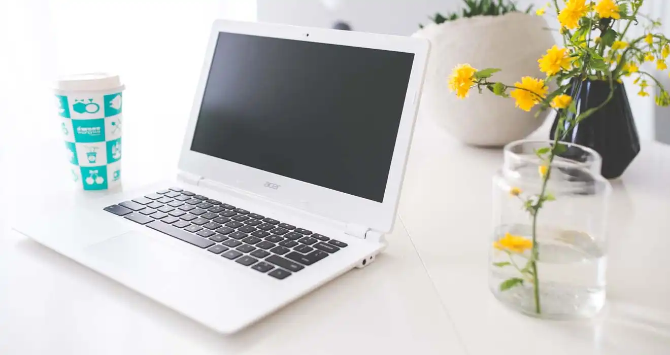 Ремонт ноутбуков Acer в Туле